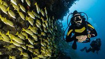 PADI Open Water Diver Course New Diving Skill - Marsa Alam