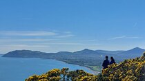 Dublin Private City Highlights and Suburbs Tour 