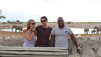 3 Day Camping tour at Etosha National Park