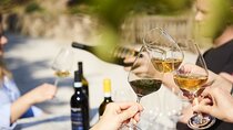 Discover the Euganean Hills Wine and Traditional Flavors