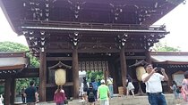 Tokyo Shrine Cultural Walks 
