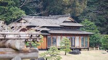 Anywhere you Like Tokyo Customized Tour in 5 hours