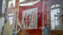 Pompeii and Winery tour
