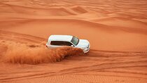 Private Morning Adventurous Desert Safari