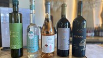 Pupa Wine Tasting Tour and Vineyard Exploration 