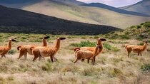 2 Day Tour from Salta to Humahuaca and Salinas Grandes
