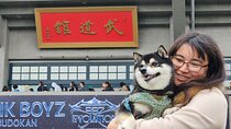 Tokyo Shiba Inu Walk | Picnic with Ginta at Edo Castle Gardens