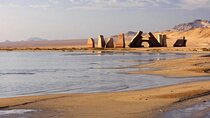 Ras Mohamed Private Half Day Trip with Transfer – Sharm El Sheikh