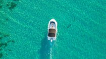 1 Hour Private Speedboat Ride Along the Shoreline -Sharm ElSheikh