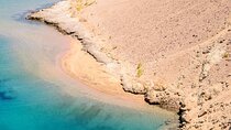 Private Ras Mohamed Half Day Tour with Transfers- Sharm El Sheikh