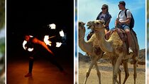 Camel Ride 1 Hour, Bedouin night,Dinner, Transfer-Sharm El Sheikh