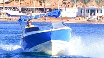 1-Hour Private Speedboat Ride in the Coast – Sharm El Sheikh