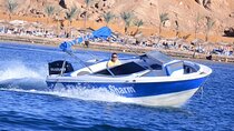 Private 1-Hour Speedboat & Parasailing W/Transfer–Sharm El Sheikh