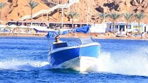 Private 1 Hour Speedboat Cruise Along the Coast -Sharm El Sheikh 