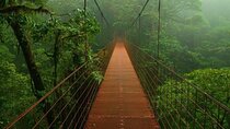 Skywalk & Beans with a sweet taste, Monteverde Experience