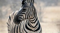 Agulhas National Park 2 Day Car Tour