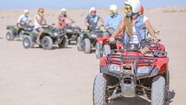 ATV Quad Biking & 2 Hours Horse Riding Adventure –Sharm El Sheikh