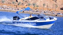 One Hour Private Speedboat Coastline Cruise – Sharm El Sheikh