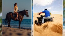 2 Hours Horse Ride & ATV Quad Bike Safari Trip - Sharm El Sheikh