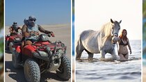 Quad Bike Desert Safari with 1-Hour Horse Riding-Sharm El Sheikh