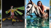 Horse Ride Trip 1 Hour and Bedouin Dinner, Show - Sharm El Sheikh