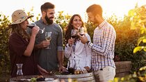 Small Group Santorini Wine Experience