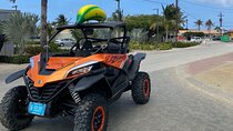 Half Day UTV Rentals