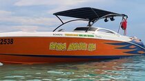 Private Custom Snorkeling and Cruising Experience in Aruba