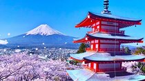 Mount Fuji Magnificent Day Tour from Tokyo