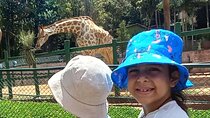São Paulo Fun Tour Zoo Botanical Garden