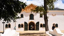 Cape Town Customisable Premium Wine Tour & Tastings