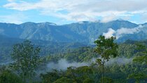 Eco-Adventure at Veragua Rainforest
