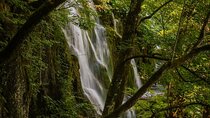 From Split: Discover Plitvice Lakes~Guided Group Adventure Awaits