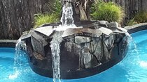 Auckland Thermal Pool and Muriwai Beach Sunset Day tour 