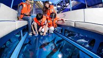 Mega Safari ATV, Parasailing, Glass Boat & Lunch –Sharm El Sheikh