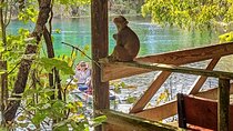 Silver Springs Jungle Kayaking and Paddleboarding