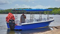 Private Estuary Boat Tour 