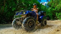 ATV Jungle, Zipline & Cenote with Transportation & Insurance 