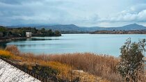 Athens Marathon and Shinias Beach with Swim