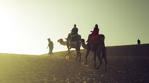 Timlaline Tour: Quad, Sandboarding, Camel Ride & Free Photography