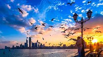 Abu Dhabi Full Day City Tour with English Speaking Guide