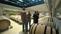 Winery & Villages of the Tramuntana Private Tour
