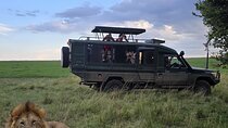 Nairobi National Park Daily half day Game drives