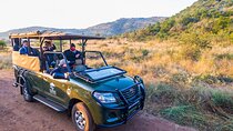 4 Day Pilanesberg Safari at Ivory Tree Game Lodge