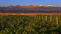3 Days of Wine and Mountains in Mendoza