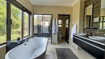 2 Day Pilanesberg Safari at Shepherd Tree Game Lodge