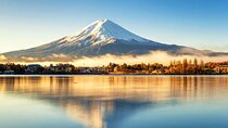 Mount Fuji celebrity Spots & Kawaguchiko four Season Flower Tour