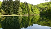 Excursión Selva Irati y Ochagavía