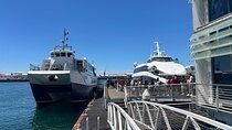 All-Inclusive 3-Day Cape Town Attractions Tour Experience