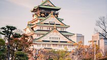 Osaka private car day trip with hotel pick up 